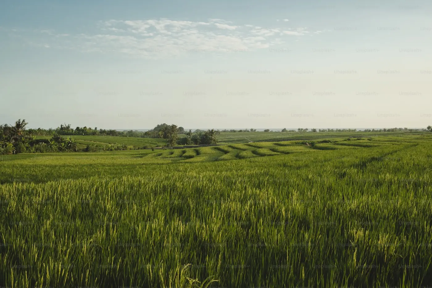 Moving to Indiana - Relocation Guide