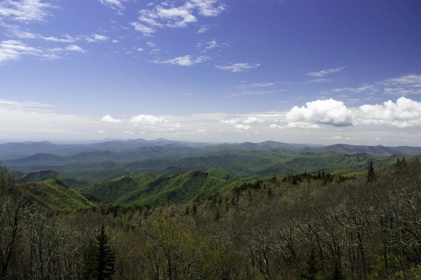 Moving to North Carolina - Relocation Guide